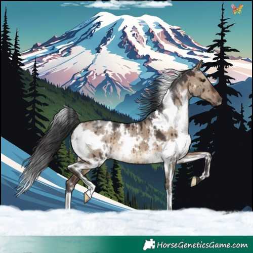 Horse Color:White Spotted Brown Dun Brindle 