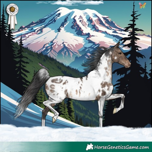 Horse Color:White Spotted Brown Dun Appaloosa Brindle 
