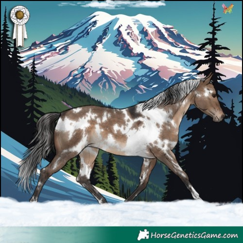 Horse Color:White Spotted Brown Dun