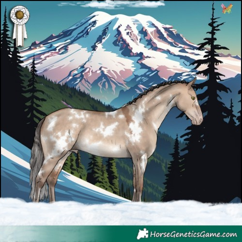 Horse Color:White Spotted Sable Champagne Dun 