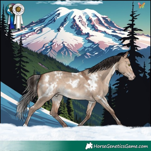 Horse Color:White Spotted Sable Champagne Dun 