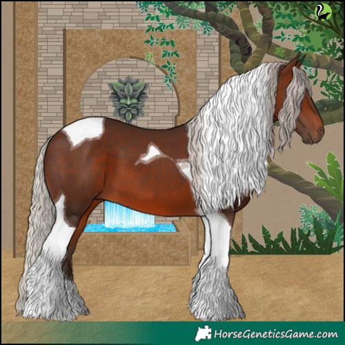 Horse Color:Silver Brown Tobiano 