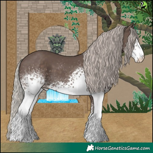 Horse Color:White Spotted Silver Black 