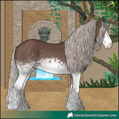 Horse Color:White Spotted Silver Black 