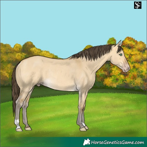 Horse Color:Sable Cream Champagne Dun Rabicano 