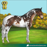 Horse Color:Gray White Spotted Silver Brown Tobiano