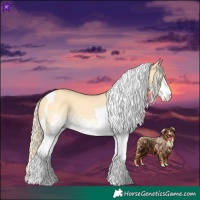 Horse Color:White Spotted Palomino Dun Tobiano 