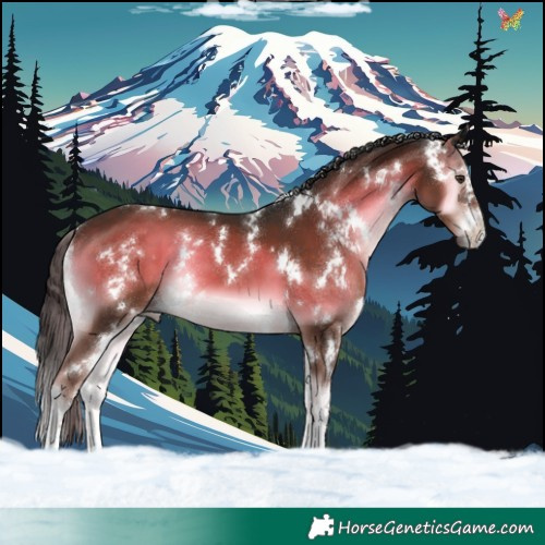 Horse Color:White Spotted Liver Red Onyx 