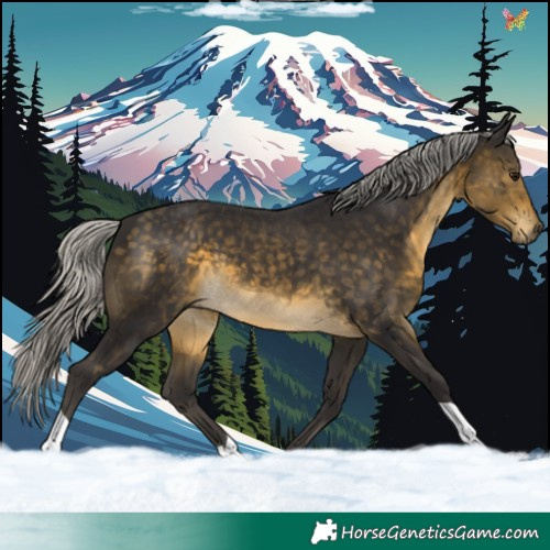 Horse Color:Silver Buckskin 