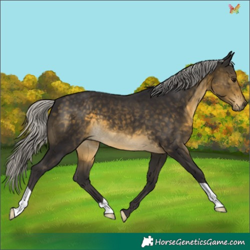 Horse Color:Silver Buckskin