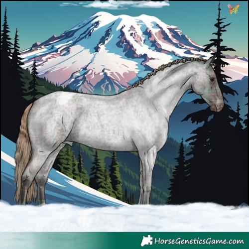 Horse Color:Plaid Liver Red Roan Appaloosa