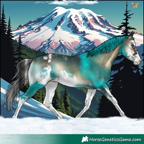 Horse Color:Brown Onyx Splash Frame Appaloosa 