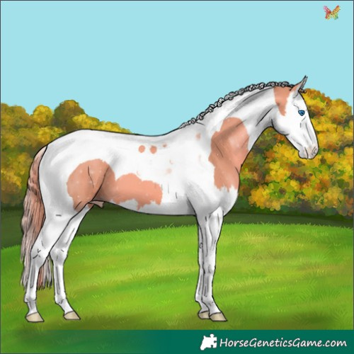 Horse Color:Watercolor Gold Champagne Splash Tobiano 
