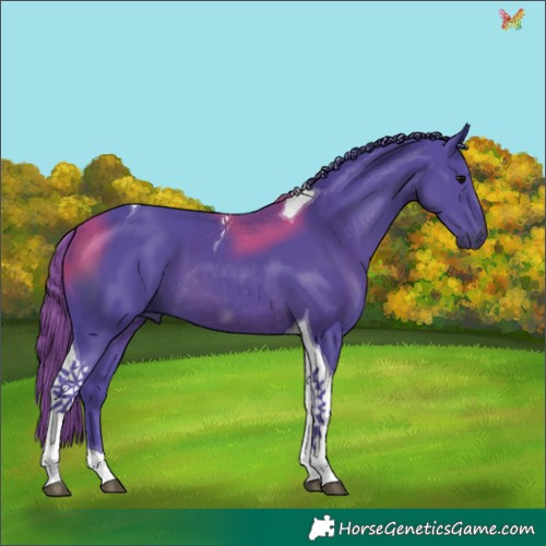 Horse Color:Watercolor Black Tobiano 