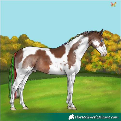 Horse Color:Painted Liver Chestnut Splash Tobiano 