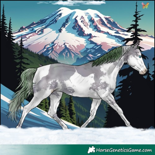 Horse Color:Watercolor Classic Champagne Splash Tobiano 