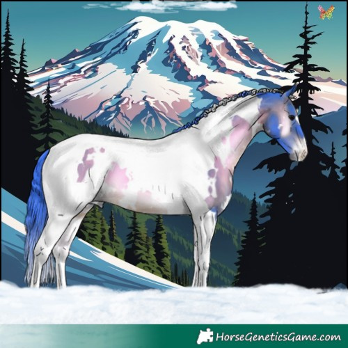 Horse Color:Watercolor White Spotted Brown Onyx Tobiano 