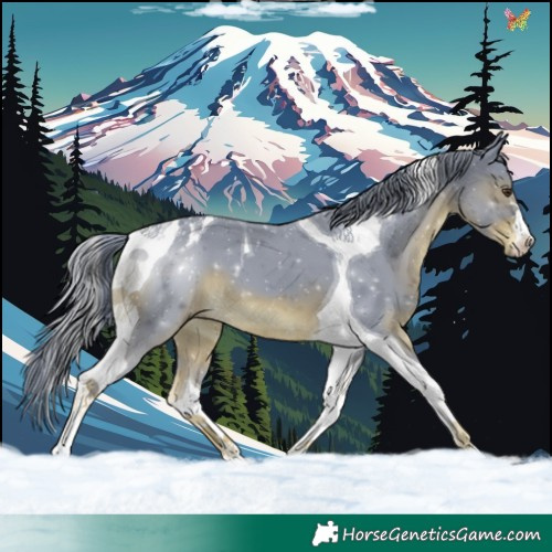 Horse Color:Watercolor Liver Chestnut Tobiano 