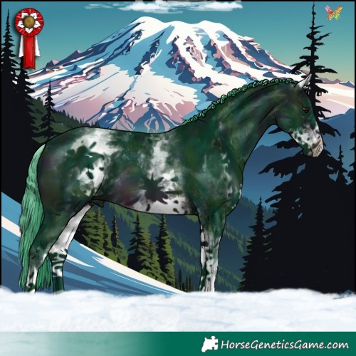 Horse Color:Watercolor White Spotted Midnight Brown Appaloosa 