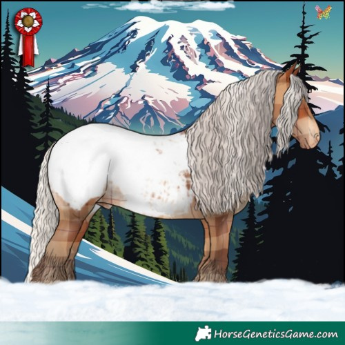 Horse Color:Plaid  Silver Bay Ice Appaloosa 
