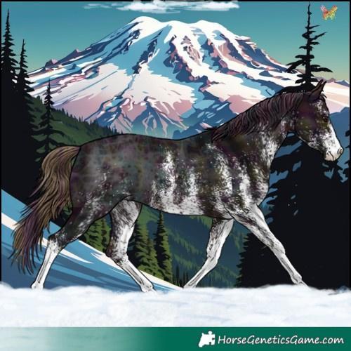 Horse Color:Plaid  White Spotted Midnight Brown Ice 