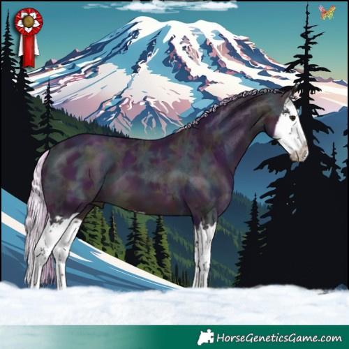Horse Color:Watercolor Midnight Silver Bay Ice Dun Splash