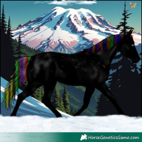 Horse Color:Void Painted White Spotted Grullo Onyx Sabino Splash Appaloosa