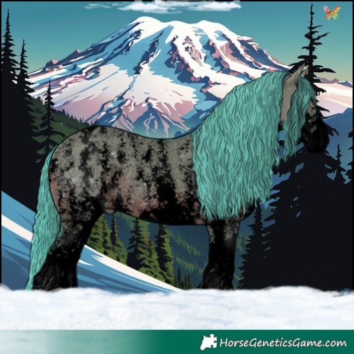 Horse Color:Void Watercolor Grullo Sabino Appaloosa 