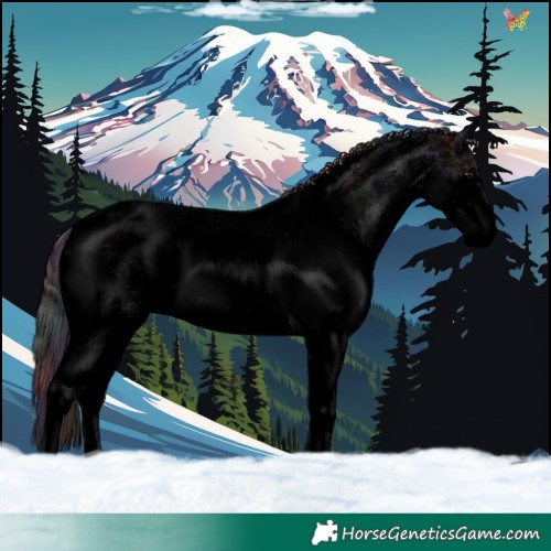 Horse Color:Void Nacre White Spotted Brown Dun Sabino 