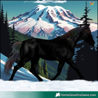 Horse Color:Void Nacre White Spotted Brown Dun Sabino 