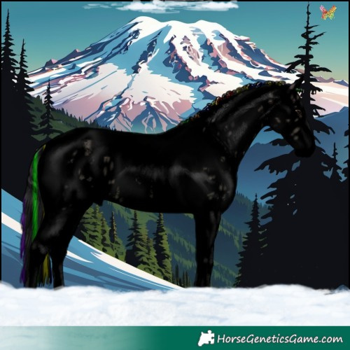 Horse Color:Void Painted Brown Dun Sabino Tobiano Appaloosa 