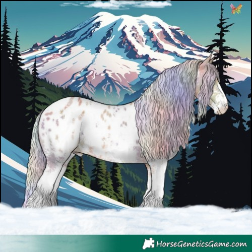 Horse Color:Nacre Silver Brown Dun Sabino Appaloosa 