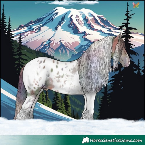 Horse Color:Nacre Brown Dun Tobiano Appaloosa 