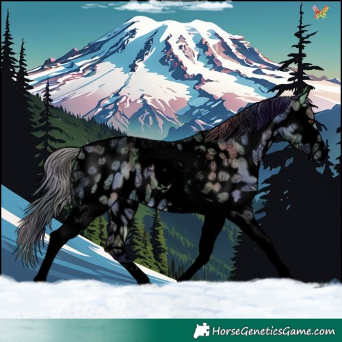 Horse Color:Void Nacre Buckskin Ice Dun Tobiano Appaloosa 