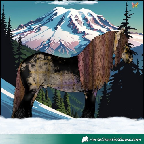 Horse Color:Void Plaid  Buckskin Dun Tobiano Appaloosa Rabicano 