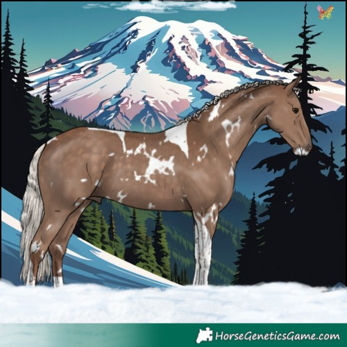 Horse Color:White Spotted Silver Black Tobiano 