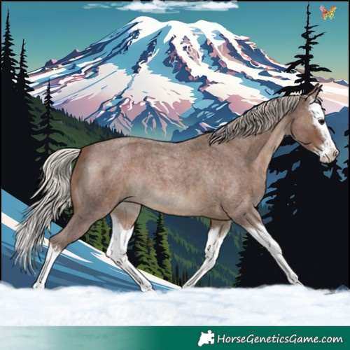 Horse Color:Silver Blue Roan Splash 