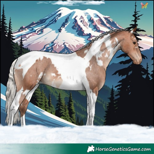 Horse Color:White Spotted Silver Bay Tobiano Varnish
