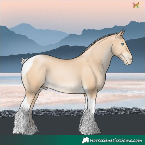 Horse Color:Silver Buckskin Pearl Tobiano 