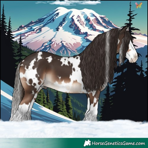 Horse Color:White Spotted Liver Chestnut Splash 
