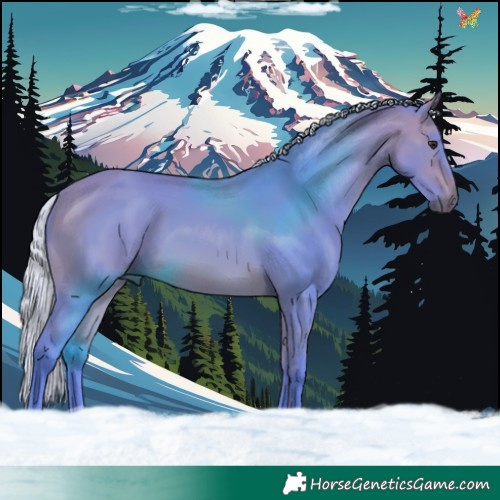 Horse Color:Watercolor Silver Bay 