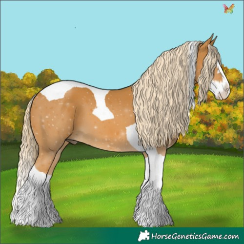 Horse Color:Palomino Splash Tobiano