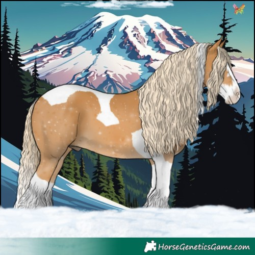 Horse Color:Palomino Splash Tobiano 