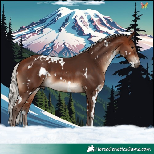 Horse Color:White Spotted Silver Brown 