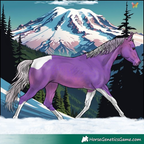 Horse Color:Watercolor Silver Brown Tobiano 