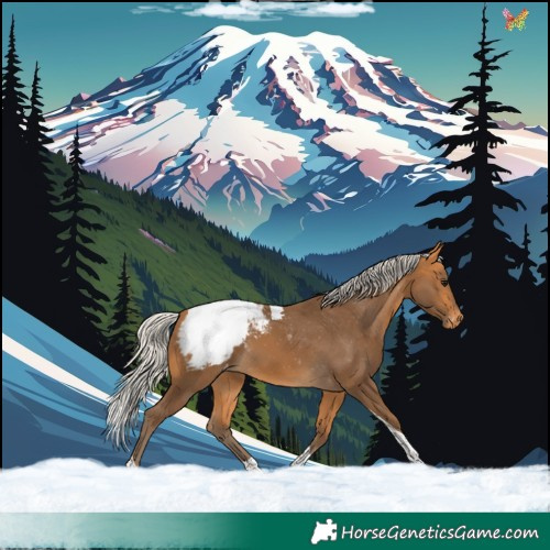 Horse Color:Silver Buckskin Tobiano Appaloosa Rabicano 