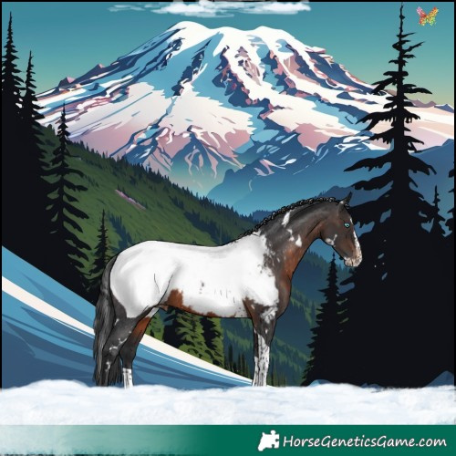 Horse Color:White Spotted Brown Splash Tobiano Snowcap 
