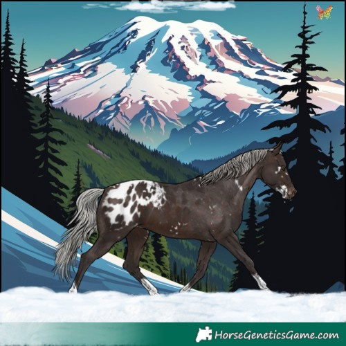 Horse Color:White Spotted Silver Brown Tobiano Appaloosa 