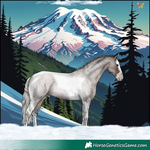 Horse Color:Silver Blue Roan Splash Tobiano 