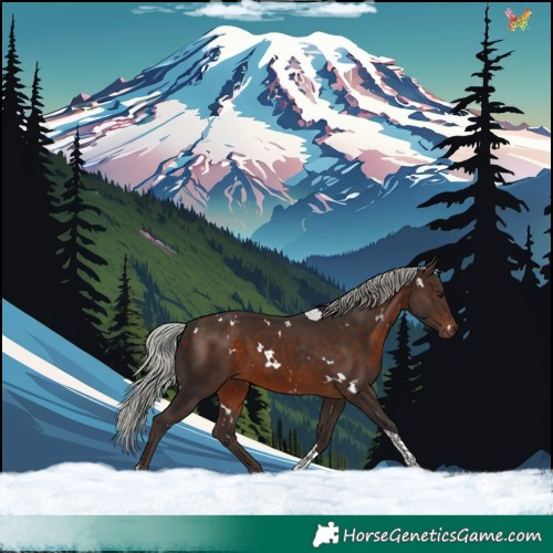 Horse Color:White Spotted Silver Brown Tobiano 